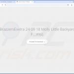 Website utilizado para promover o sequestrador de navegador EasySearch 1