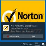  pop-up da fraude Norton Subscription Has Expired Today promovida via notificações de navegador (exemplo 1 )