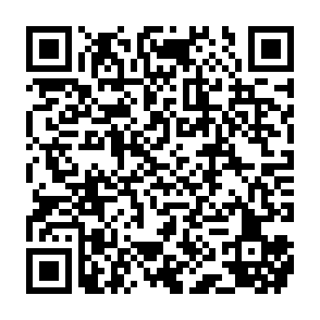 01Flip virus Code QR