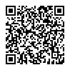 vírus 888 (Dharma) Code QR