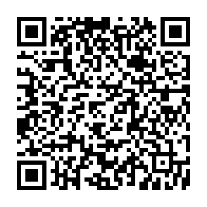 Asyl virus Code QR