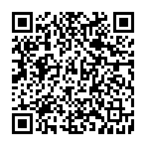 AuraStealer ladrão de informações Code QR