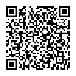 Carregador de malware AvisLoader Code QR
