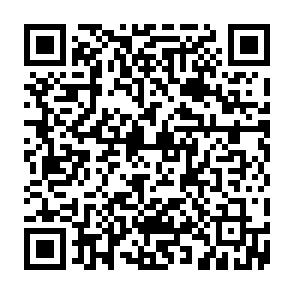 BackLock virus Code QR