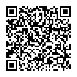 Backups virus Code QR