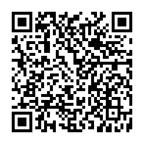 Bactor virus Code QR