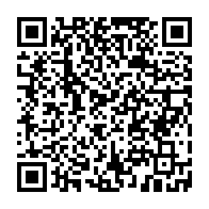 BAFAIAI virus Code QR