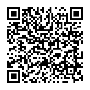 BambooToken backdoor Code QR