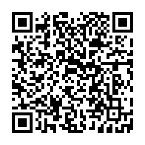 Bear virus Code QR
