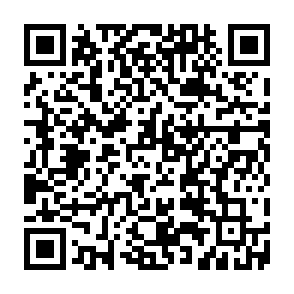 BirdCall malware Code QR