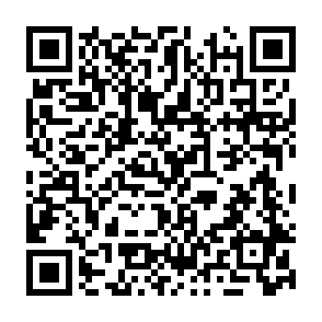 $Bitcat Airdrop crypto drainer Code QR