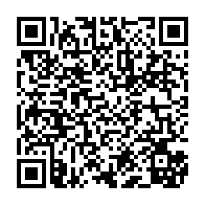 vírus BL4CK SP1D3R Code QR