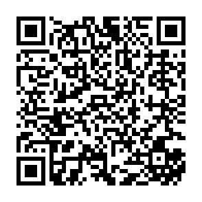 Vírus Calipso Code QR