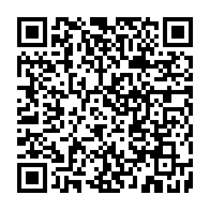 CastleLoader virus Code QR