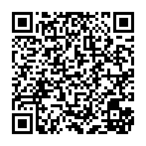 CCLand virus Code QR