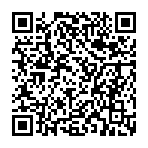 Anúncios por cgre-defender.pro Code QR