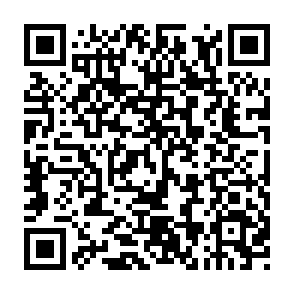 falso Contract Quote email Code QR