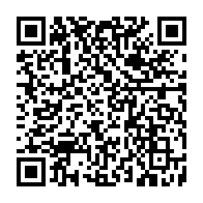 Vírus Cooked Code QR