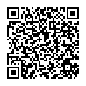 Anúncios por corematrixpin.com Code QR