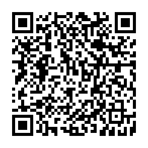 DeerStealer ladrão de informações Code QR
