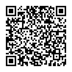 Developer vírus Code QR
