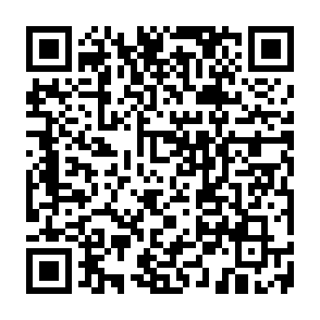 DEVMAN 21 virus Code QR