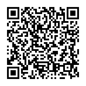 Anúncios de digitalmeshweb.co.in Code QR