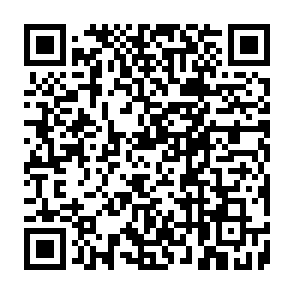 DigitStealer virus Code QR