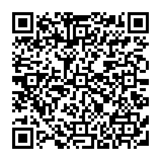 Domain Service Deactivation golpe de phishing Code QR