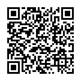 EKZ infostealer Code QR