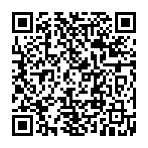 Site falso Elon Musk Giveaway Code QR