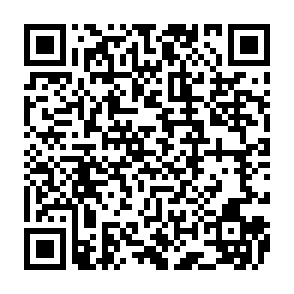 Evolution information stealer Code QR