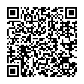 vírus Face Melter Code QR