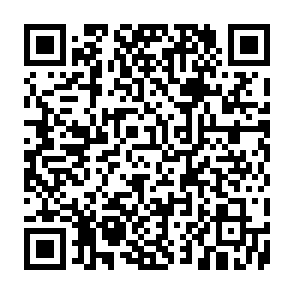 Página fraudulenta do DappRadar Code QR