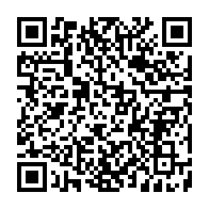 Fake Xeno script executor Code QR