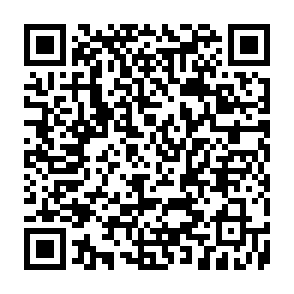 Grass Vote Rewards crypto drainer Code QR