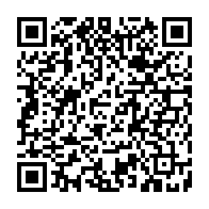 Gremlin malware Code QR