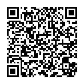 Hitler virus Code QR