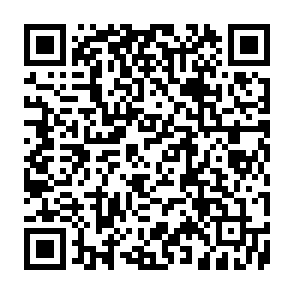 vírus HMDL Code QR