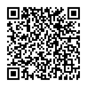 Vírus Hnx911 Code QR