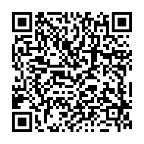 IdontCareLOck virus Code QR