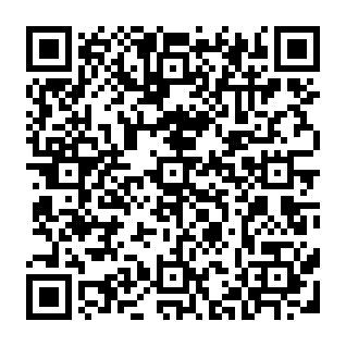Incoming Bitcoin Transaction golpe de phishing Code QR