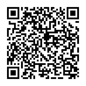 Ferramenta para hackear contas falsas do Instagram Code QR