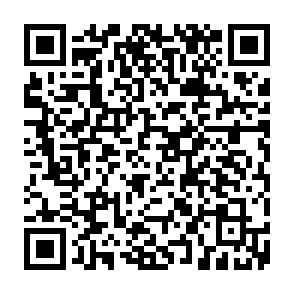 vírus KansasGroup Code QR