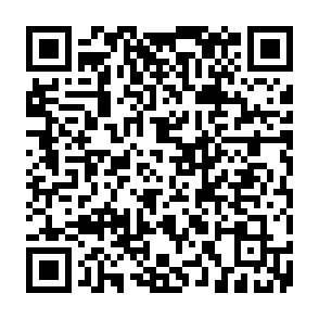 vírus Karma Group Code QR