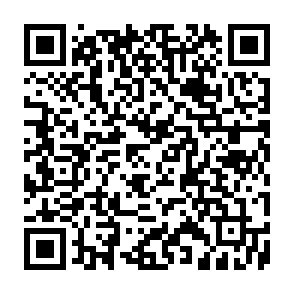 Kora vírus Code QR