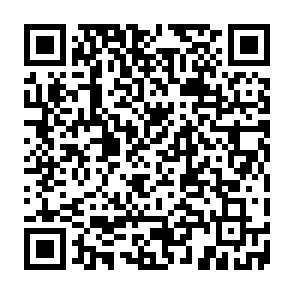 KREMLIN virus Code QR