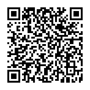 Vírus KRYBIT Code QR