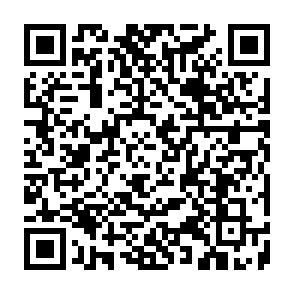 LabubaRAT trojan de acesso remoto Code QR