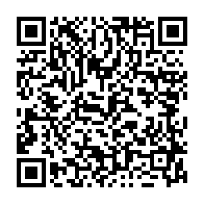 Vírus Lalia Code QR